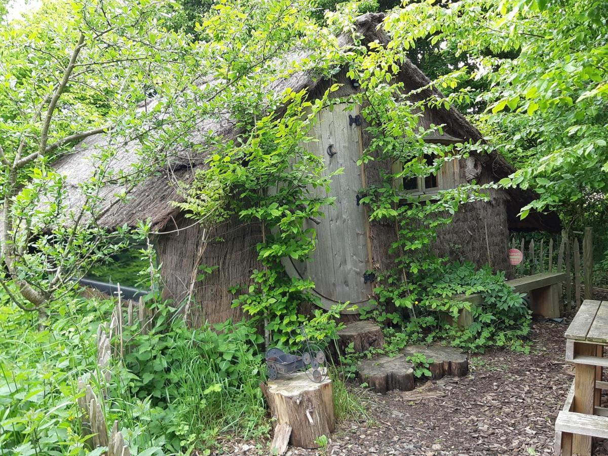 Cabane D'Augustin Saint-Augustin  Exterior foto